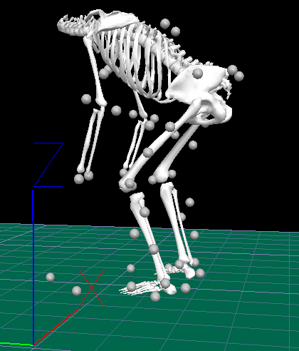 The inside word on biomechanics