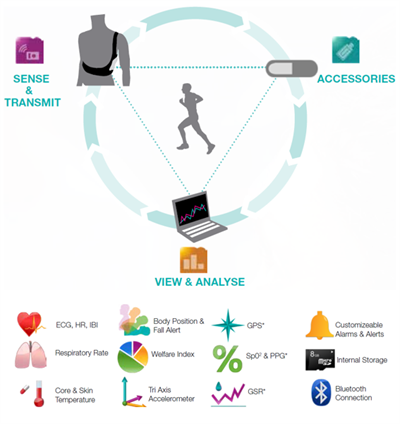 Sport and exercise heat tolerance testing and thermoregulation guidelines provided by exercise physiologists at Melbourne Sports & Allied Health Clinic